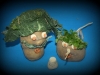 basen-pieczony-ziemniak-2012-r-257